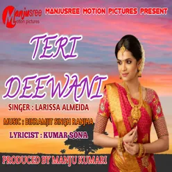 Teri Deewani